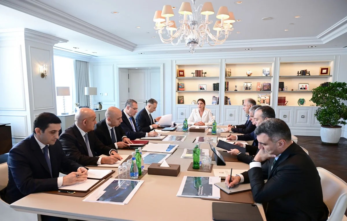 Mehriban Əliyevanın sədrliyi ilə Rəqəmsal İnkişaf Şurasının ilk iclası keçirilib&nbsp;
