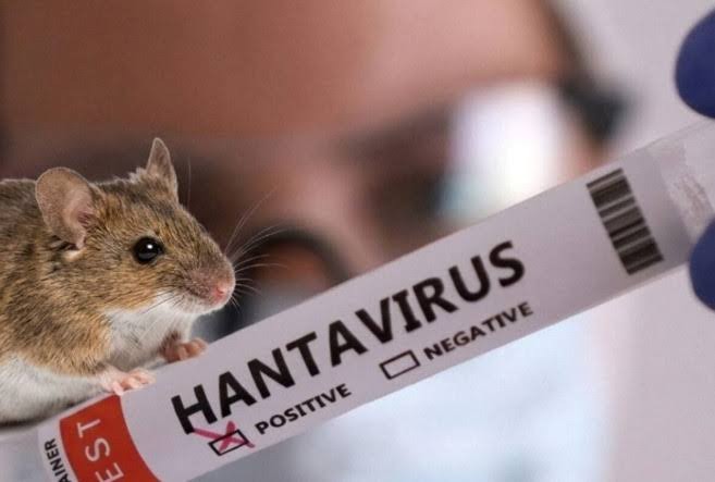 Bu epidemiya rəsmən&nbsp;BİTDİ