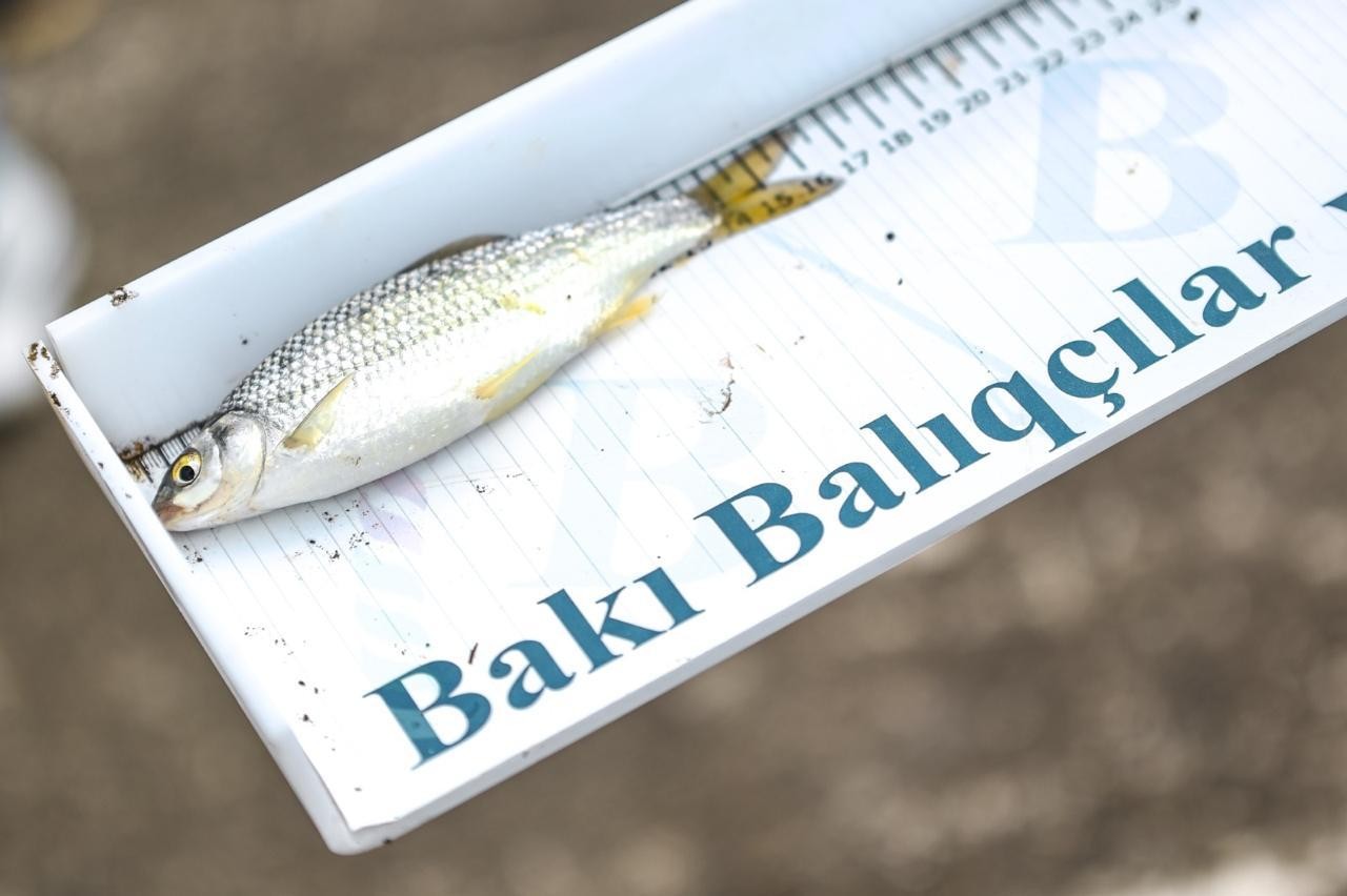Gənclər və İdman Nazirliyi ilə Azərbaycan Su İdman Növləri Federasiyasının birgə təşkilatçılığıyla balıq ovu festivalı keçirilib