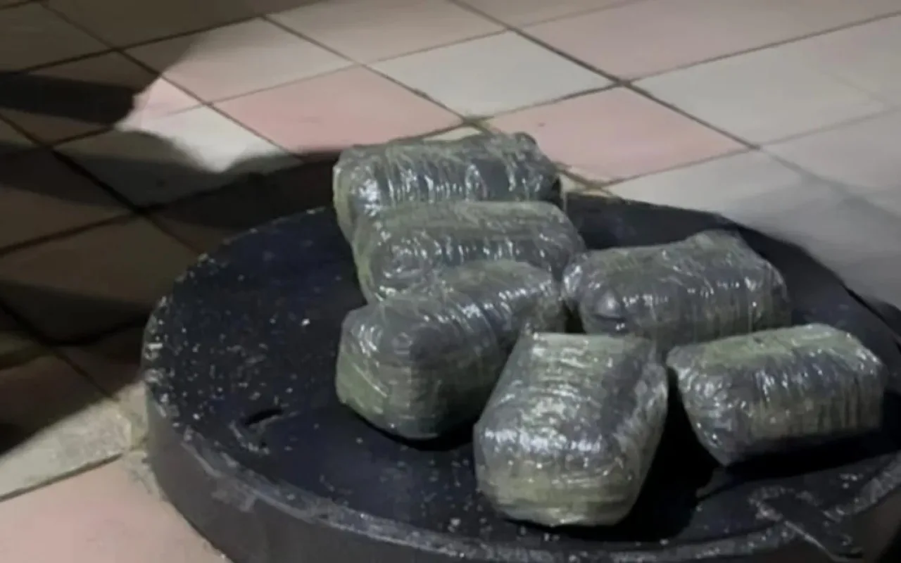 Lerikdə 9 kiloqram narkotik vasitə aşkarlandı