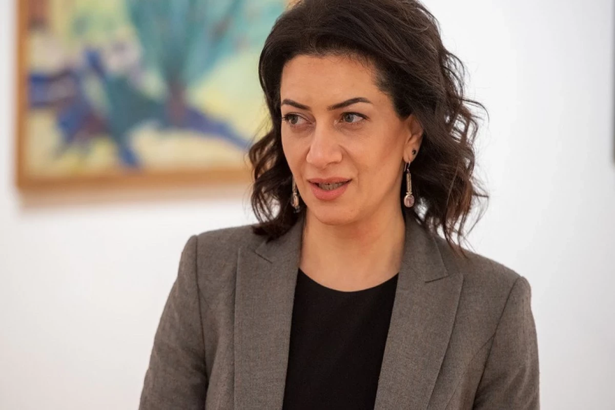 Anna Akopyana qarşı CİNAYƏT İŞİ açıldı