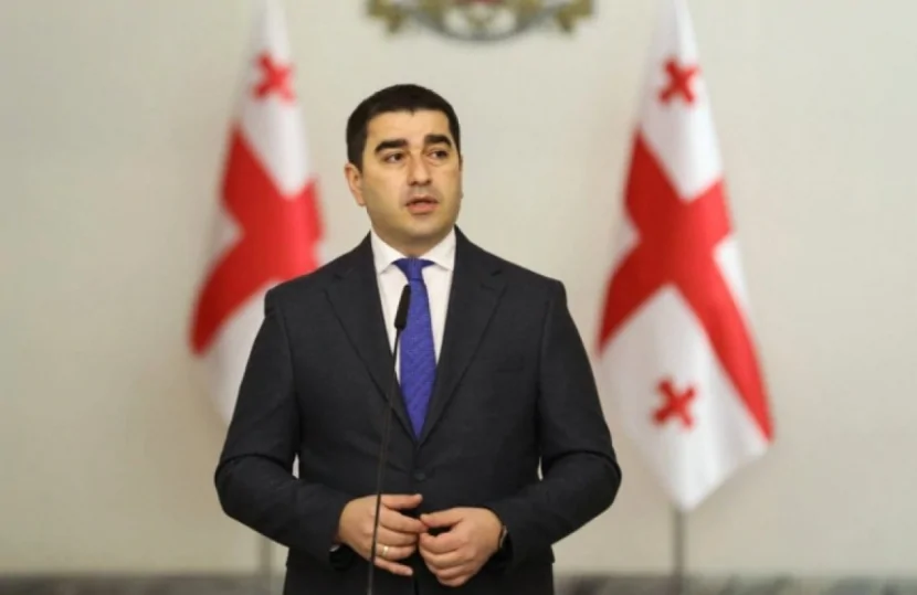 Şalva Papuaşvilidən açıqlama: Almaniya Gürcüstanda hökuməti tanımayan qrupları maliyyələşdirir