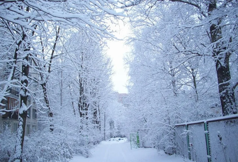HAVA ilə bağlı XƏBƏRDARLIQ- Bu ölkədə