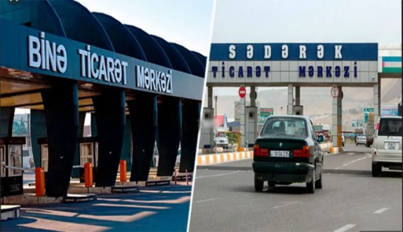Bakıda göl daşdı, balıqlar ətrafa yayıldı