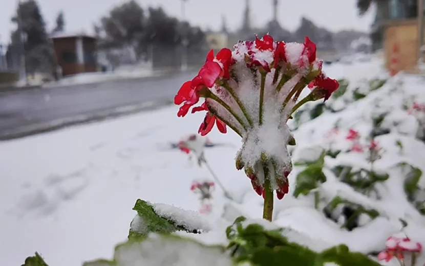Hava KƏSKİN DƏYİŞİR: Yağış, qar yağacaq