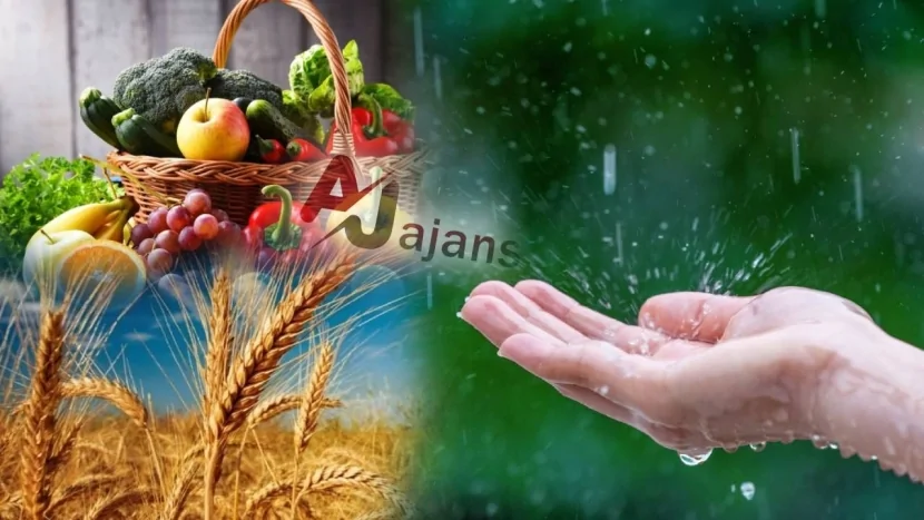 Leysan yağışların yaratdığı FƏSAD- bazarlarda qiymətlər ARTACAQ?