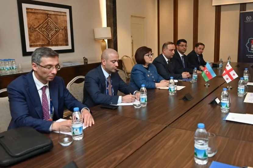 Sahibə Qafarova Gürcüstan parlamentinin sədri ilə görüşüb