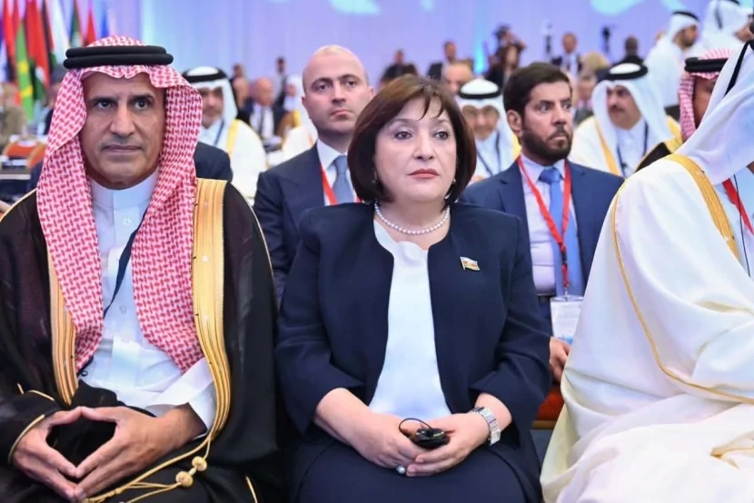 Sahibə Qafarova Sammitdə çıxış etdi