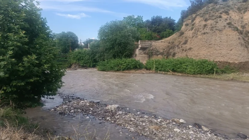 Tovuza qonaq gələn gənc ÇAYDA BATDI